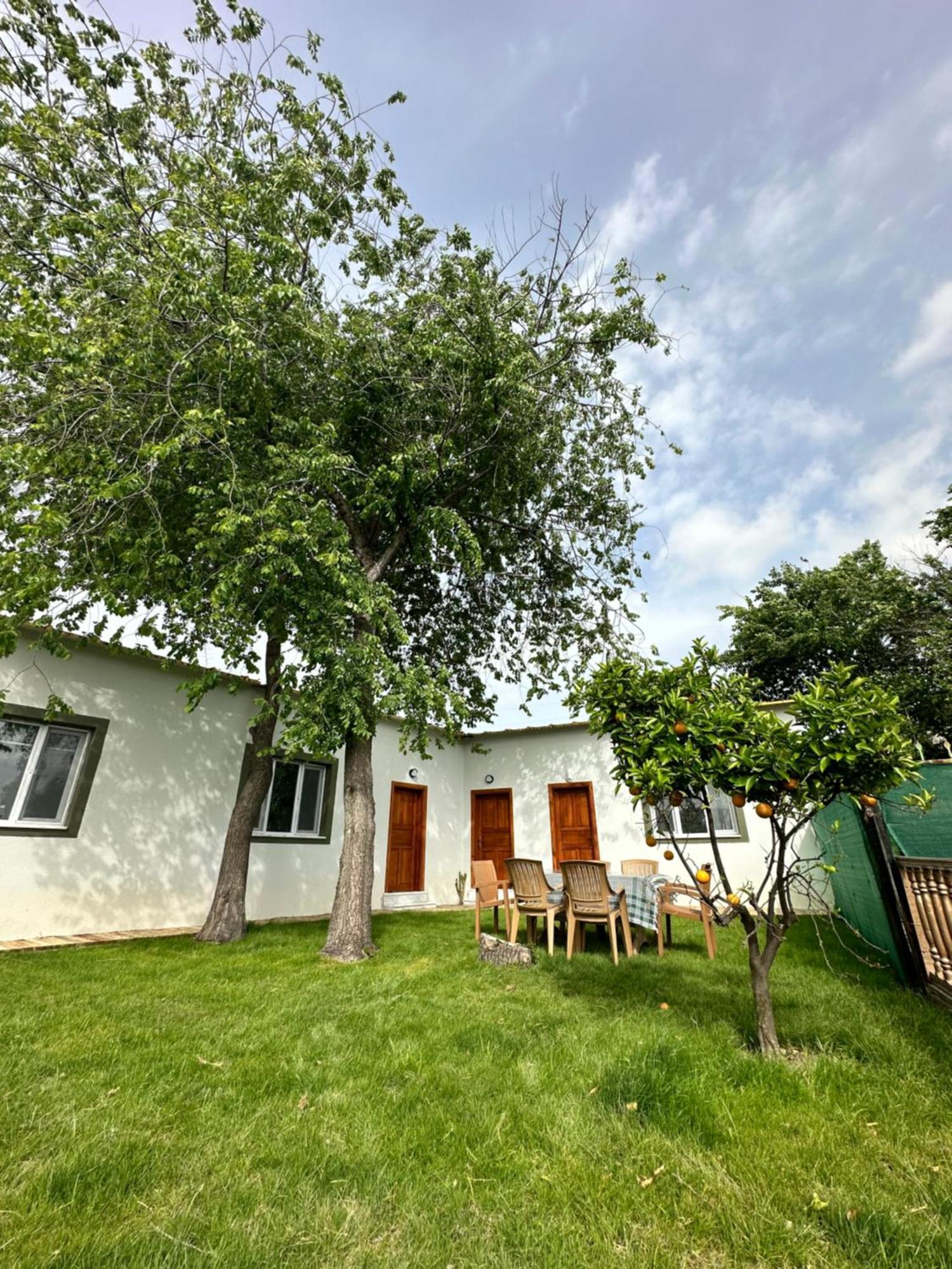 Hotel Bahaus